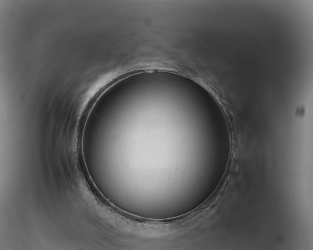 X0000116880008200912291252