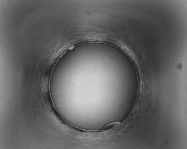X0000116880009200912291252
