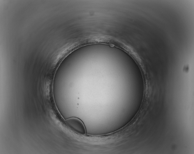 X0000116880010200912291252