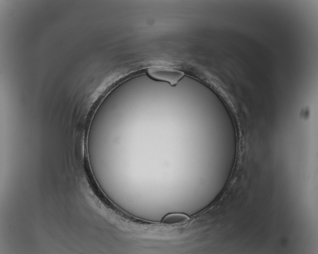X0000116880011200912291252