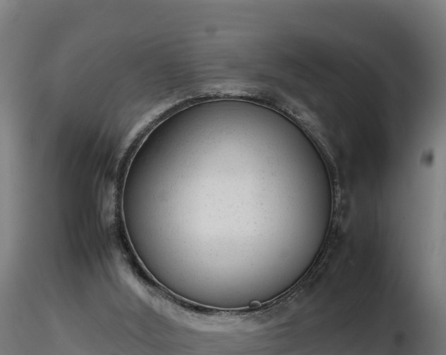 X0000116880012200912291252