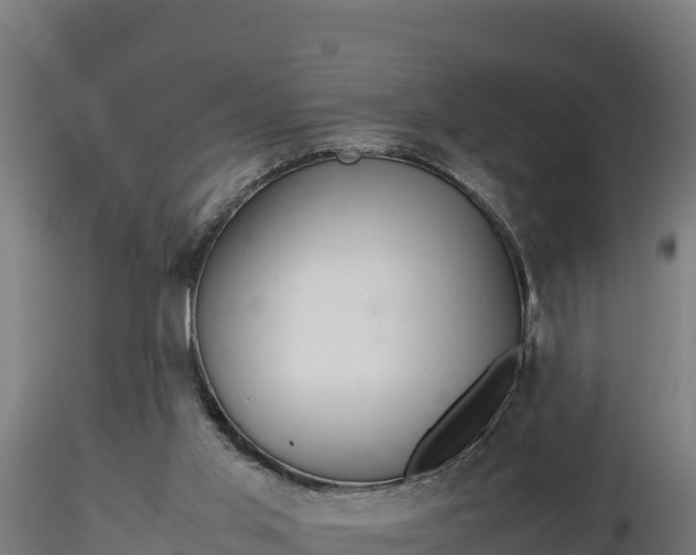 X0000116880013200912291252