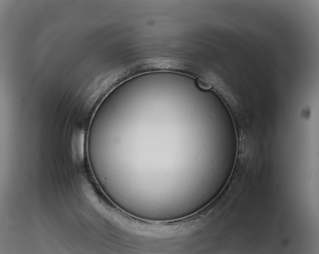 X0000116880014200912291252
