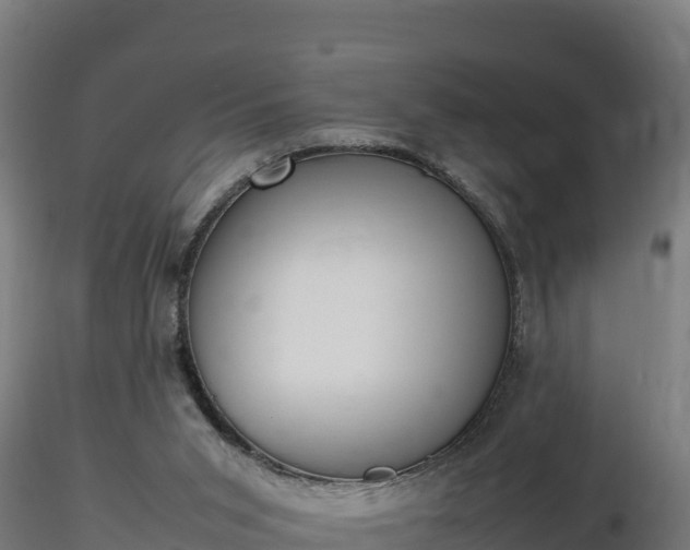 X0000116880015200912291252