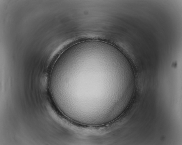 X0000116880016200912291252