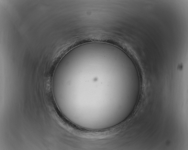 X0000116880017200912291252