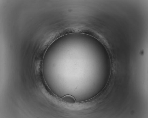 X0000116880018200912291252