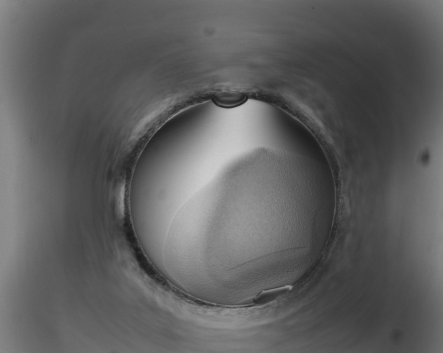 X0000116880019200912291252