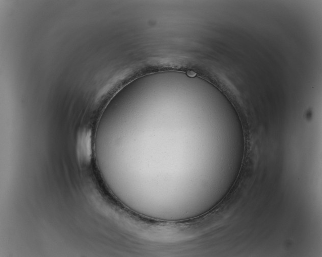 X0000116880020200912291252