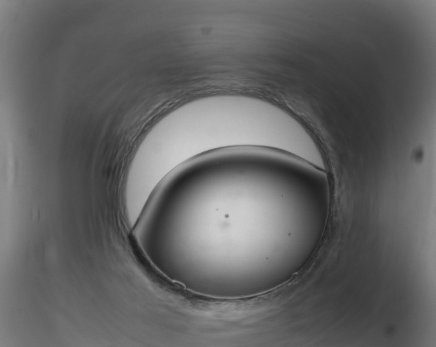X0000116880021200912291252
