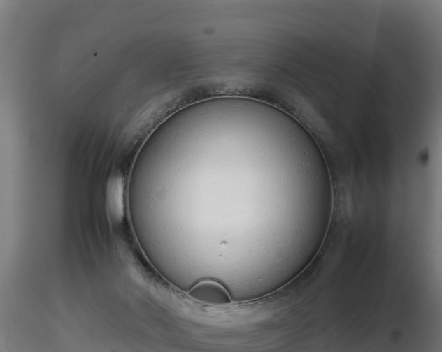 X0000116880022200912291252