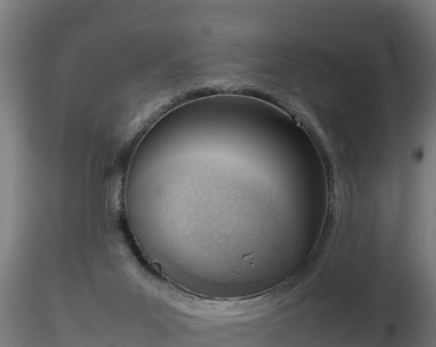 X0000116880023200912291251