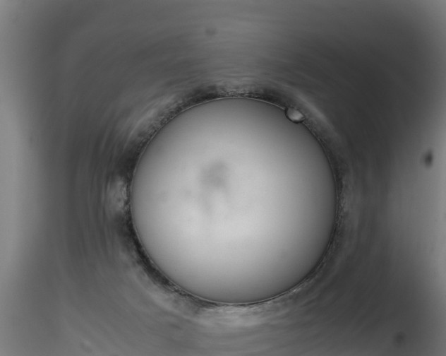 X0000116880025200912291251