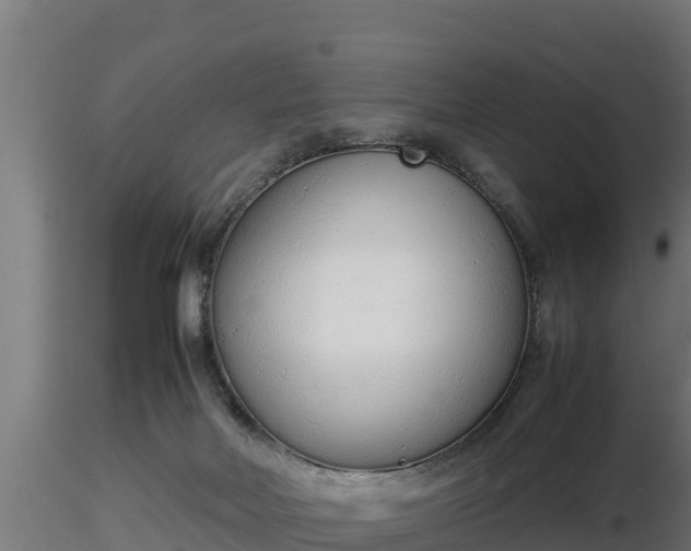 X0000116880026200912291251