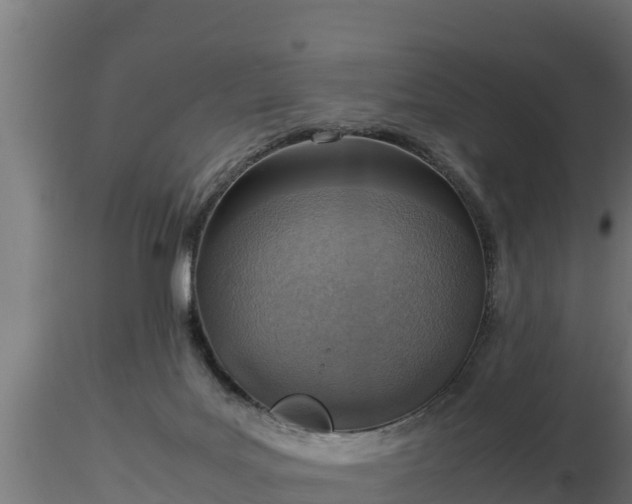 X0000116880027200912291251
