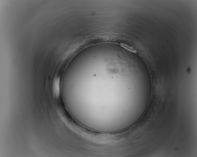 X0000116880028200912291251
