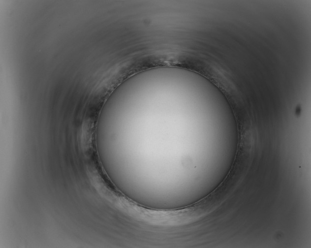 X0000116880030200912291251