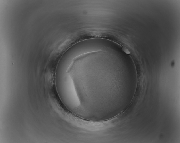 X0000116880031200912291251