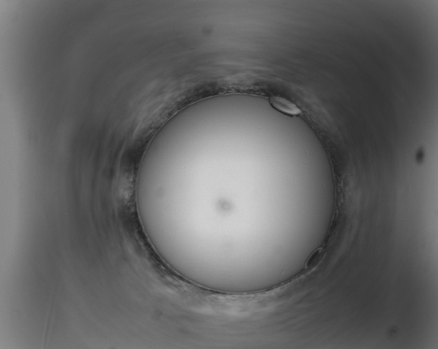 X0000116880033200912291251