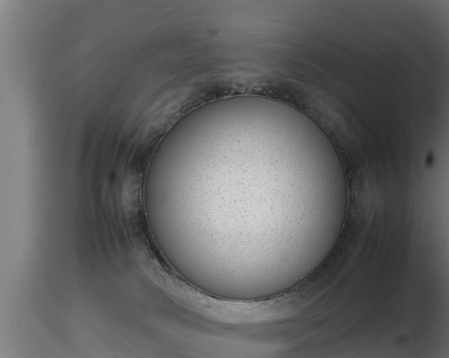 X0000116880034200912291251