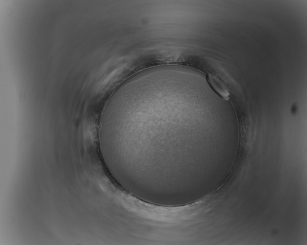 X0000116880035200912291251