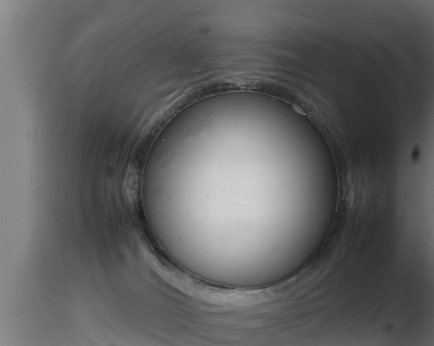 X0000116880036200912291251