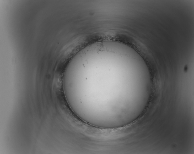 X0000116880037200912291251