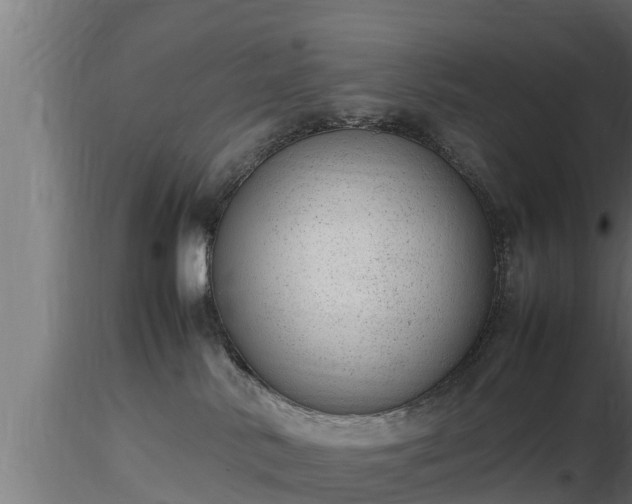 X0000116880042200912291251