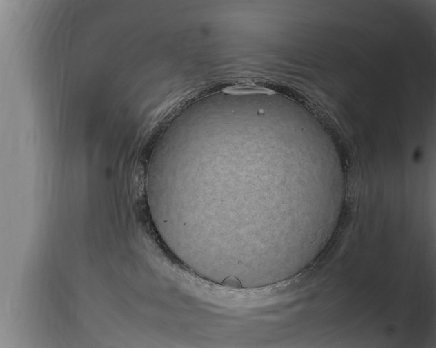 X0000116880043200912291251