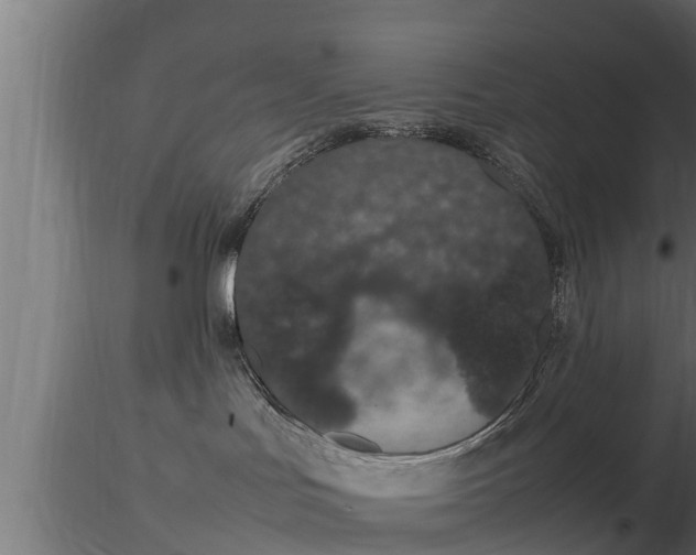 X0000116880047200912291251