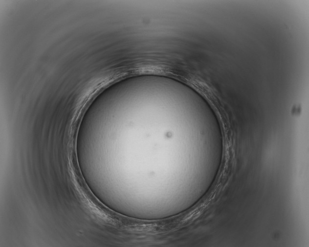 X0000116880049200912291251