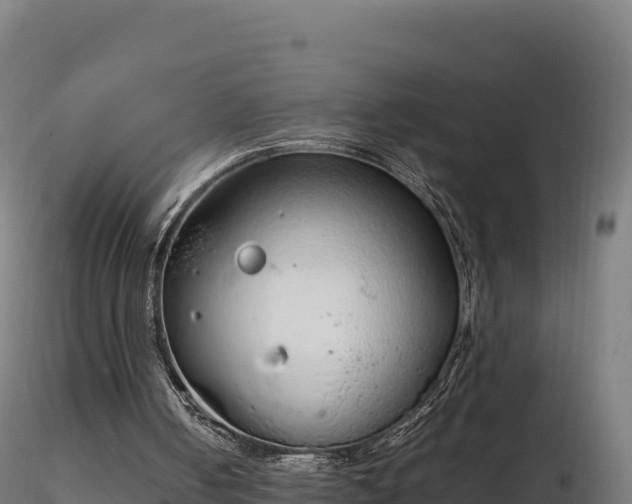 X0000116880050200912291251