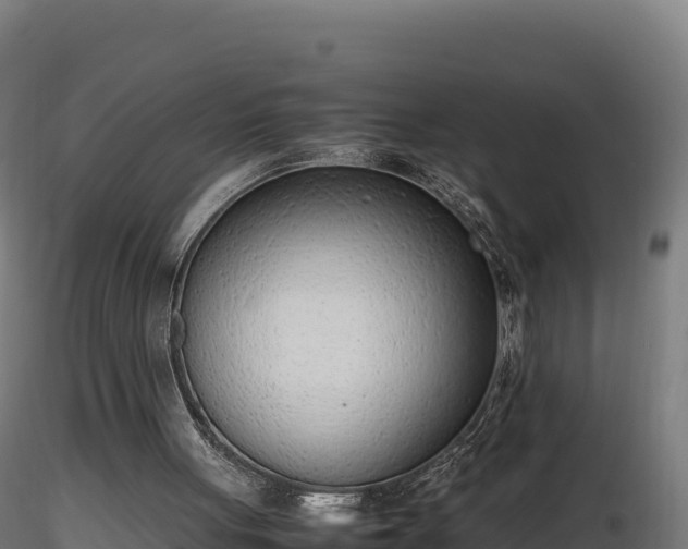 X0000116880051200912291251