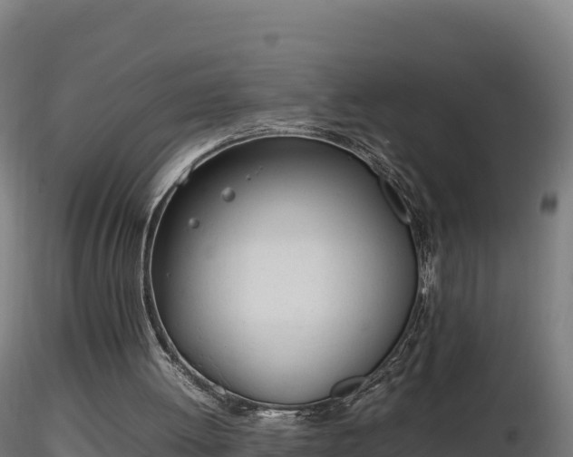 X0000116880052200912291251
