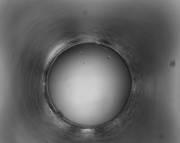 X0000116880053200912291251