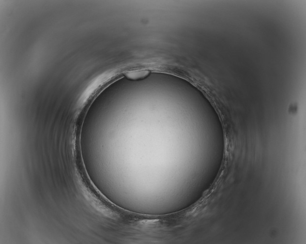 X0000116880054200912291251