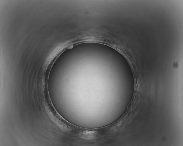 X0000116880055200912291251