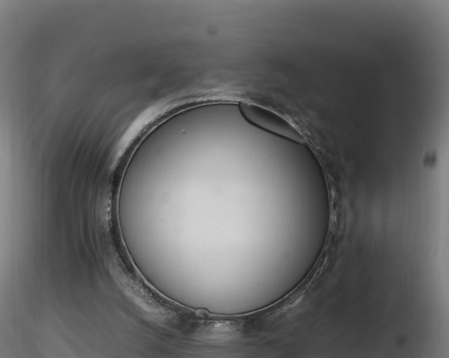 X0000116880056200912291251