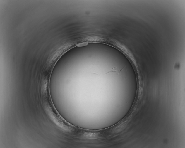 X0000116880057200912291251