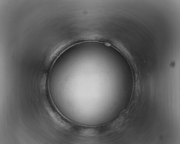 X0000116880058200912291251