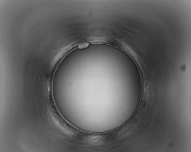 X0000116880059200912291251