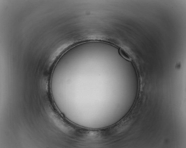 X0000116880060200912291251