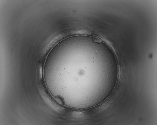 X0000116880061200912291251