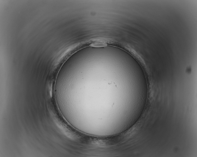 X0000116880062200912291251