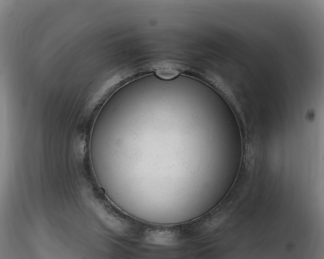X0000116880063200912291251