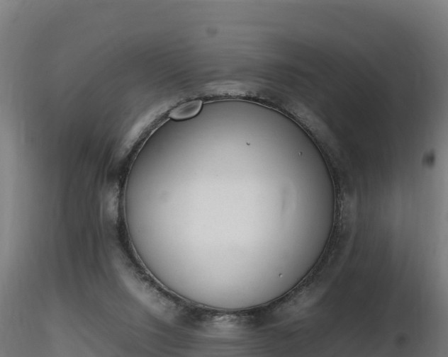 X0000116880064200912291251