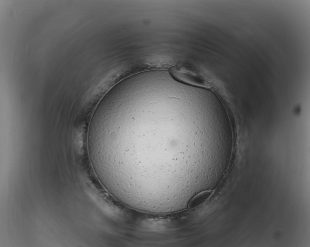 X0000116880065200912291251