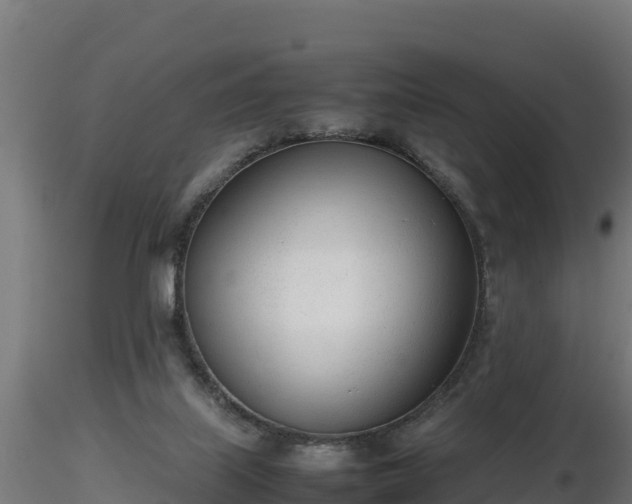 X0000116880067200912291251