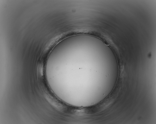 X0000116880068200912291251