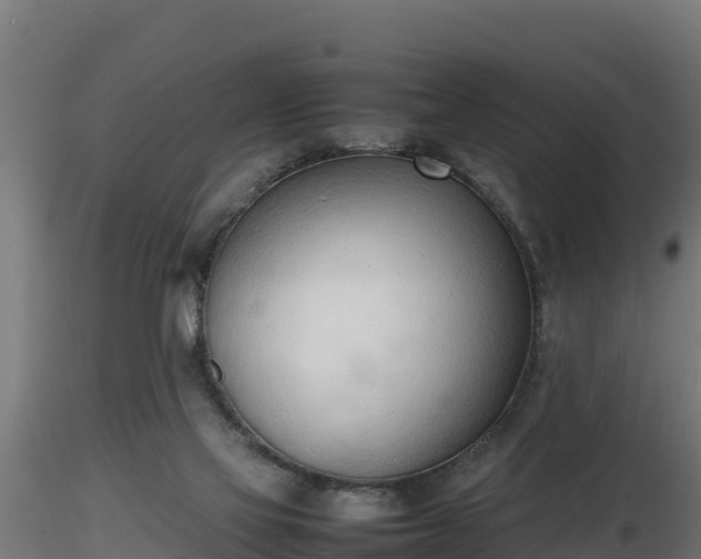 X0000116880069200912291251